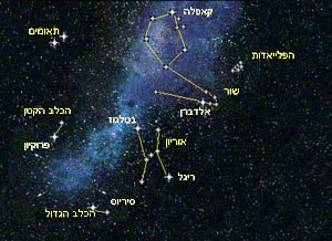 קבוצת אוריון